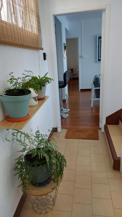 Tropical Palms Apartment Mauritius بوانت أو كانونيرس المظهر الخارجي الصورة